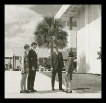 fau_3196-Thumbnail Image.jpg