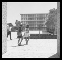 fau_3211-Thumbnail Image.jpg