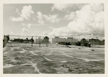 fau_3256-Thumbnail Image.jpg