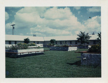 fau_3258-Thumbnail Image.jpg