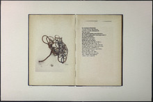 fau_33155-Thumbnail Image.jpg