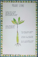 fau_33161-Thumbnail Image.jpg