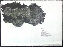 fau_33163-Thumbnail Image.jpg