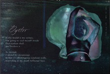 fau_33164-Thumbnail Image.jpg