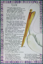 fau_33172-Thumbnail Image.jpg