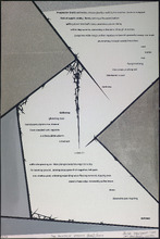 fau_33184-Thumbnail Image.jpg