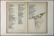 fau_33193-Thumbnail Image.jpg