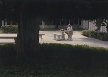 fau_34693-Thumbnail Image.jpg