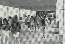 fau_34706-Thumbnail Image.jpg