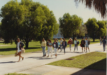 fau_34742-Thumbnail Image.jpg