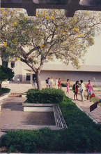 fau_34758-Thumbnail Image.jpg