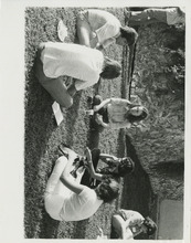 fau_34763-Thumbnail Image.jpg