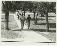 fau_34787-Thumbnail Image.jpg