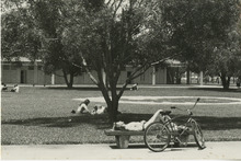 fau_34867-Thumbnail Image.jpg