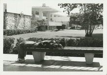 fau_34895-Thumbnail Image.jpg