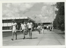 fau_34909-Thumbnail Image.jpg