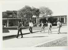 fau_34910-Thumbnail Image.jpg