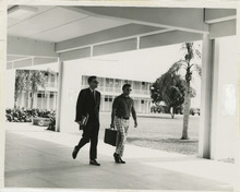 fau_34925-Thumbnail Image.jpg