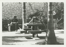 fau_34950-Thumbnail Image.jpg