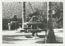 fau_34971-Thumbnail Image.jpg