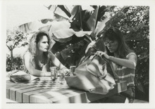 fau_34973-Thumbnail Image.jpg