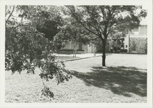 fau_35171-Thumbnail Image.jpg