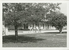 fau_35174-Thumbnail Image.jpg