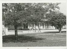 fau_35178-Thumbnail Image.jpg