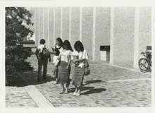 fau_35180-Thumbnail Image.jpg