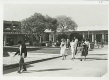 fau_35181-Thumbnail Image.jpg