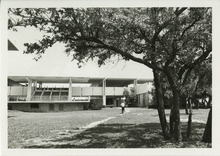 fau_35183-Thumbnail Image.jpg