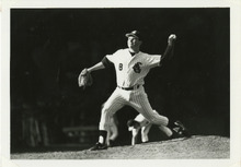 fau_35194-Thumbnail Image.jpg