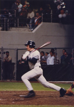 fau_35201-Thumbnail Image.jpg