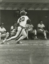 fau_35203-Thumbnail Image.jpg