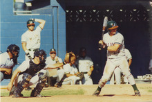 fau_35229-Thumbnail Image.jpg