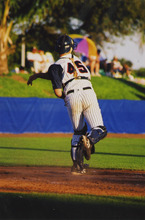 fau_35309-Thumbnail Image.jpg