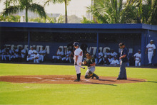 fau_35311-Thumbnail Image.jpg