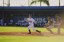 fau_35312-Thumbnail Image.jpg