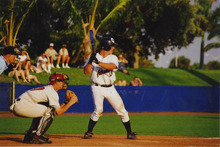 fau_35314-Thumbnail Image.jpg