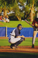 fau_35315-Thumbnail Image.jpg