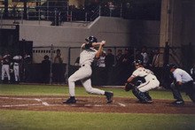 fau_35324-Thumbnail Image.jpg