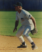 fau_35357-Thumbnail Image.jpg