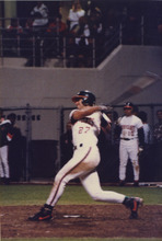 fau_35382-Thumbnail Image.jpg