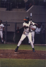 fau_35386-Thumbnail Image.jpg