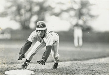 fau_35392-Thumbnail Image.jpg