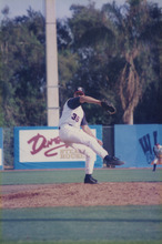 fau_35393-Thumbnail Image.jpg