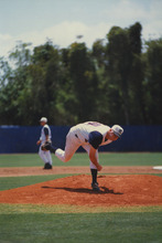 fau_35399-Thumbnail Image.jpg