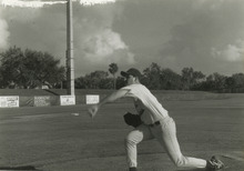 fau_35436-Thumbnail Image.jpg