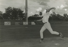 fau_35440-Thumbnail Image.jpg