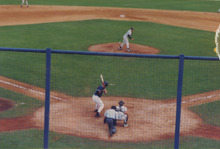 fau_35491-Thumbnail Image.jpg